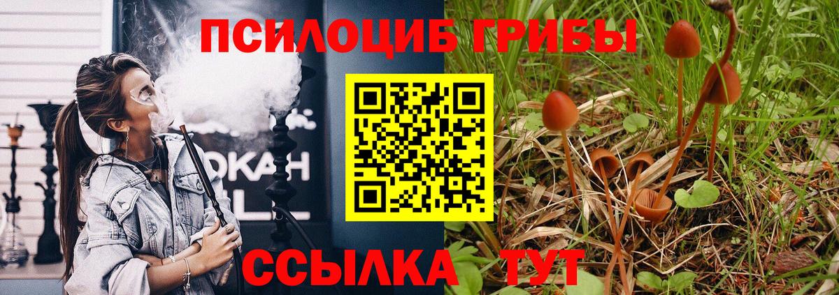 Нижнеудинск  Галлюциногенные грибы Psilocybe  цена   Вход с VPN 